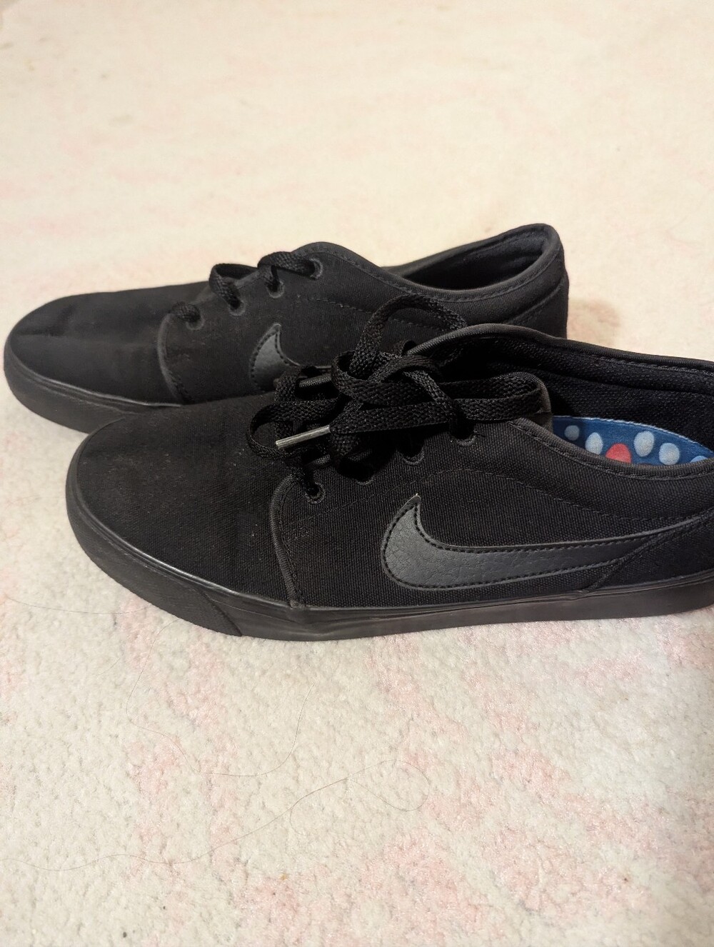 Nike Black Canvas Skate Sneakers 9.5